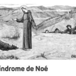<strong>Síndrome de Noé</strong>