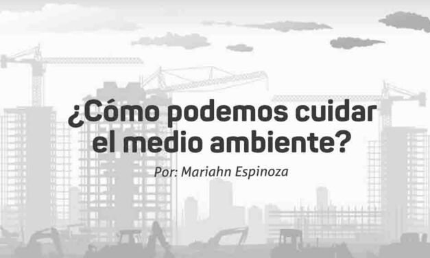 ¿Cómo podemos cuidar el medio ambiente?