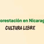 Deforestación en Nicaragua