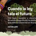 Cuando la ley tala el futuro