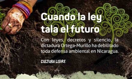 Cuando la ley tala el futuro