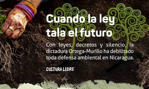 Cuando la ley tala el futuro