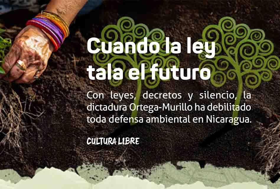 Cuando la ley tala el futuro