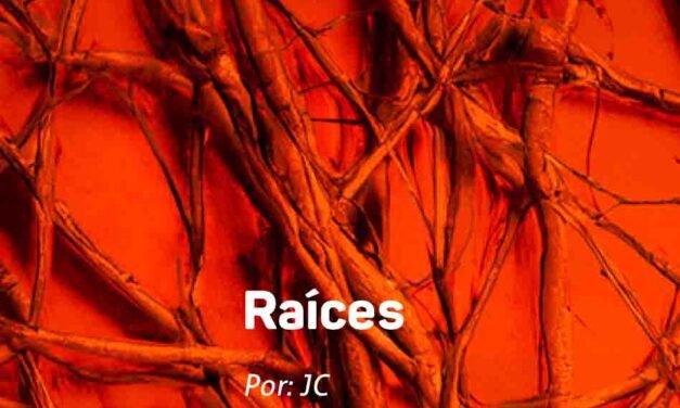 Raíces