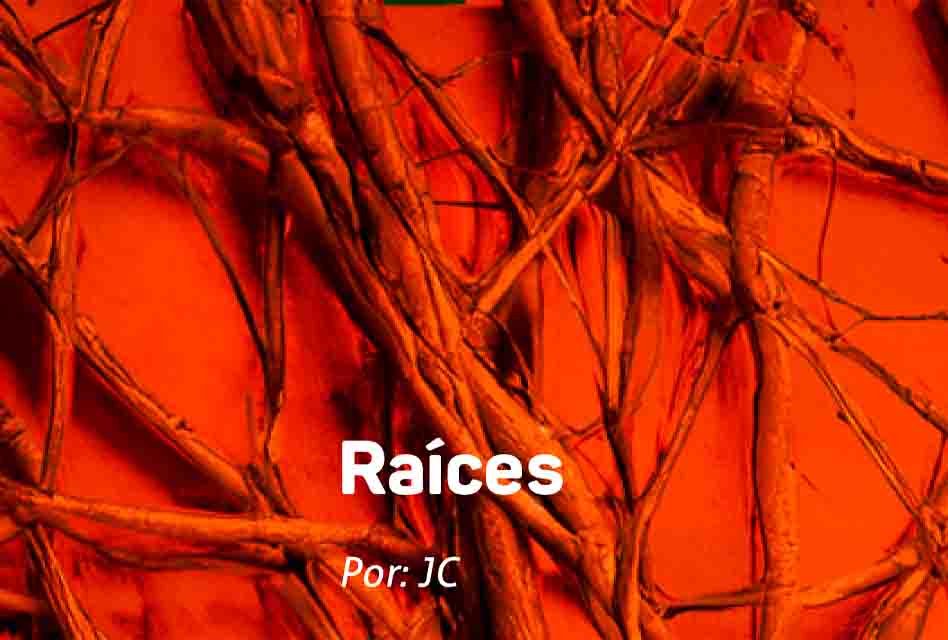 Raíces