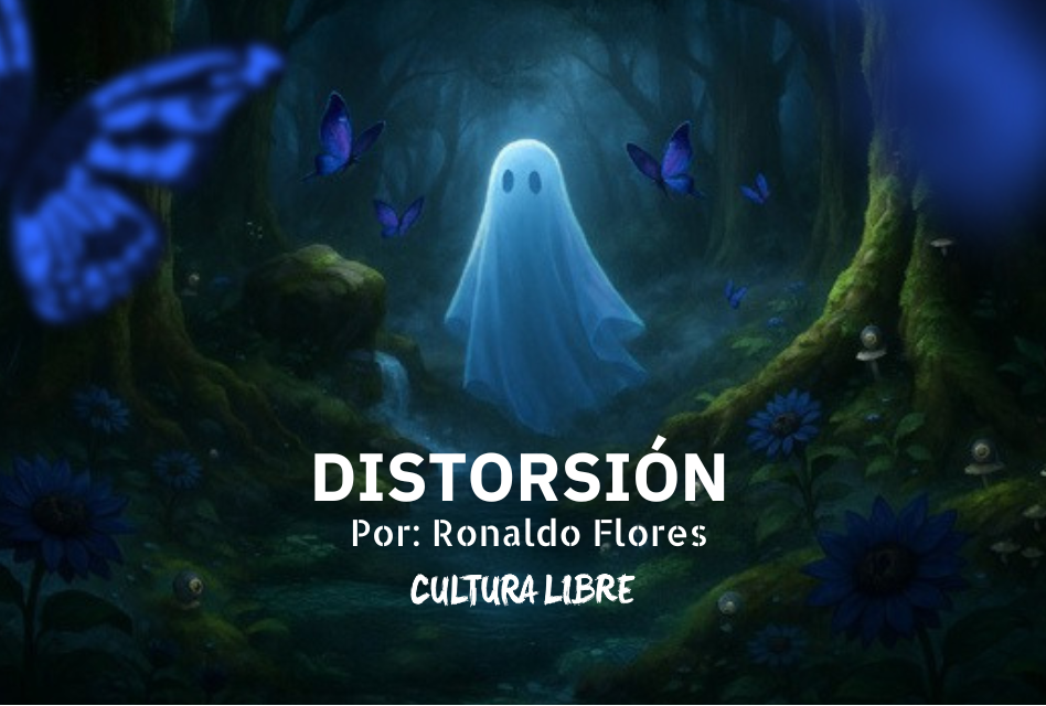 DISTORSIÓN
